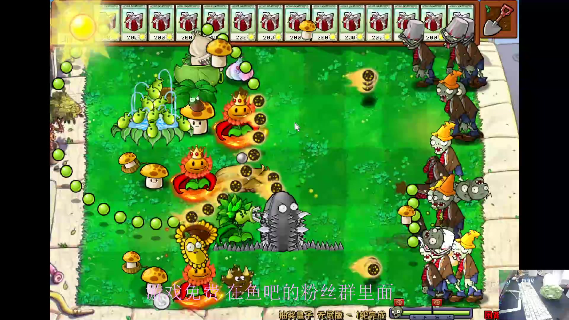 【2024-06-08 14点场】耿枫QUQ：植物大战僵尸滴神