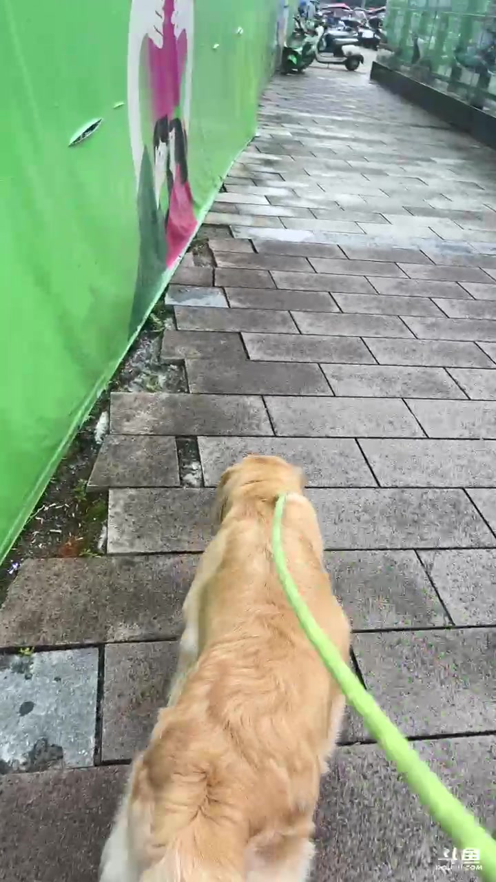 【2024-06-08 14点场】棒老三：带大家看二次元！