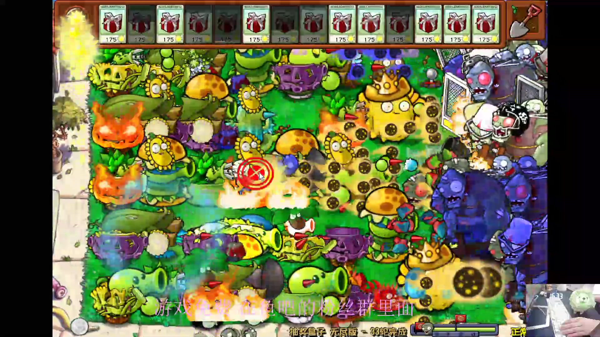 【2024-06-08 16点场】耿枫QUQ：植物大战僵尸滴神