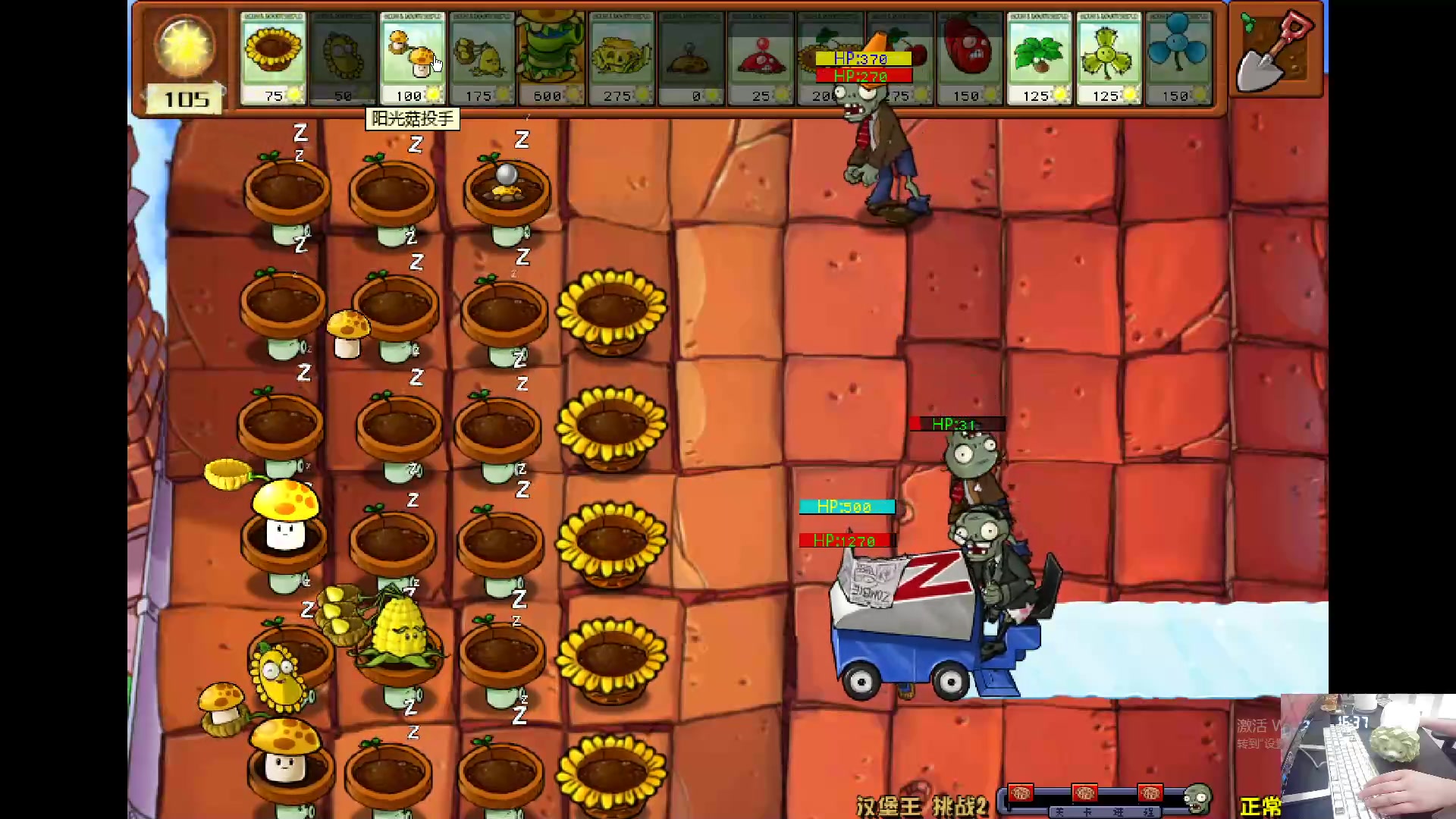 【2024-06-09 16点场】耿枫QUQ：植物大战僵尸的神 7573365