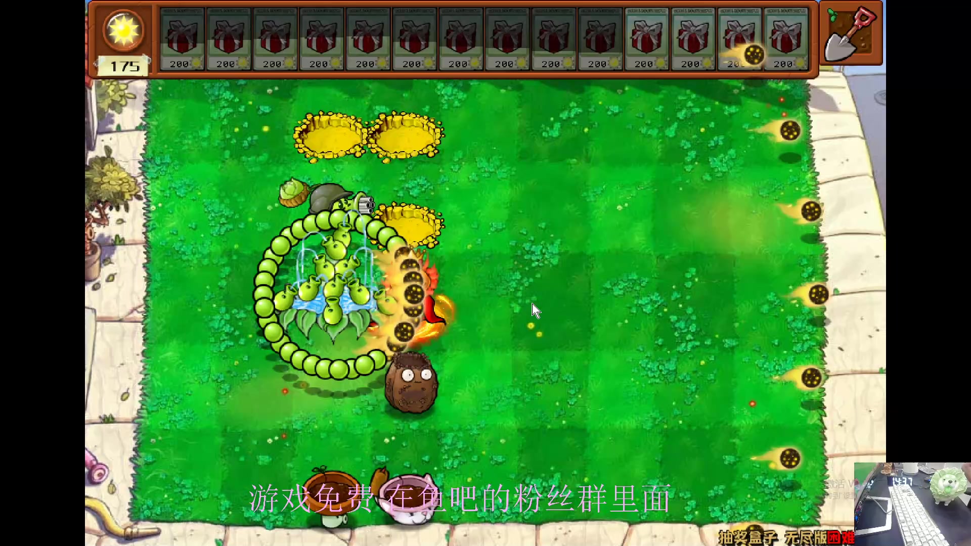 【2024-06-10 13点场】耿枫QUQ：古希腊掌管植物的神