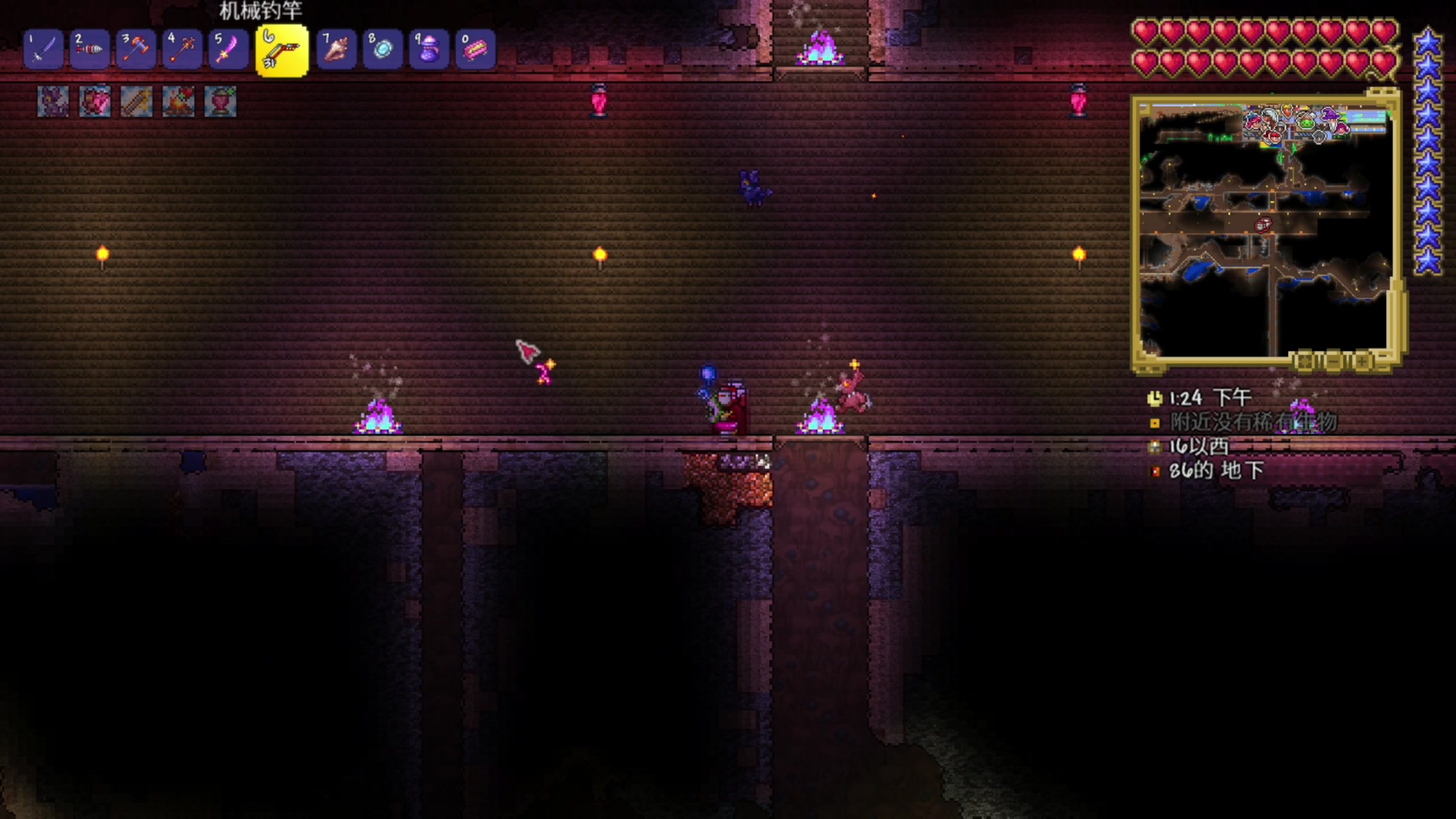 【2024-06-10 19点场】尐表哥：直播啦！！！ 217331