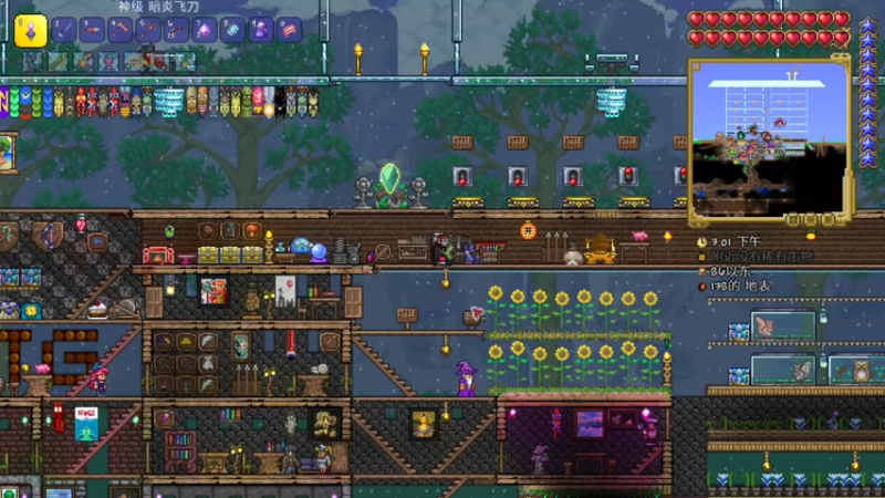 【2024-06-10 21点场】尐表哥：直播啦！！！ 217331