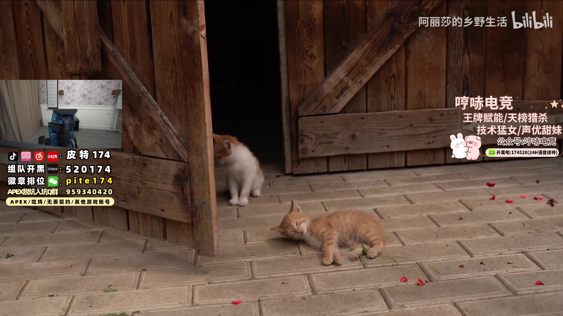 【2024-06-10 22点场】皮特174：酬勤  端午安康