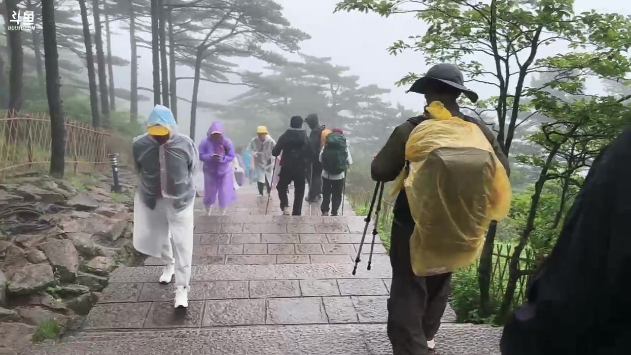 【2024-06-11 12点场】胸肌很大的良小伞：在黄山户外