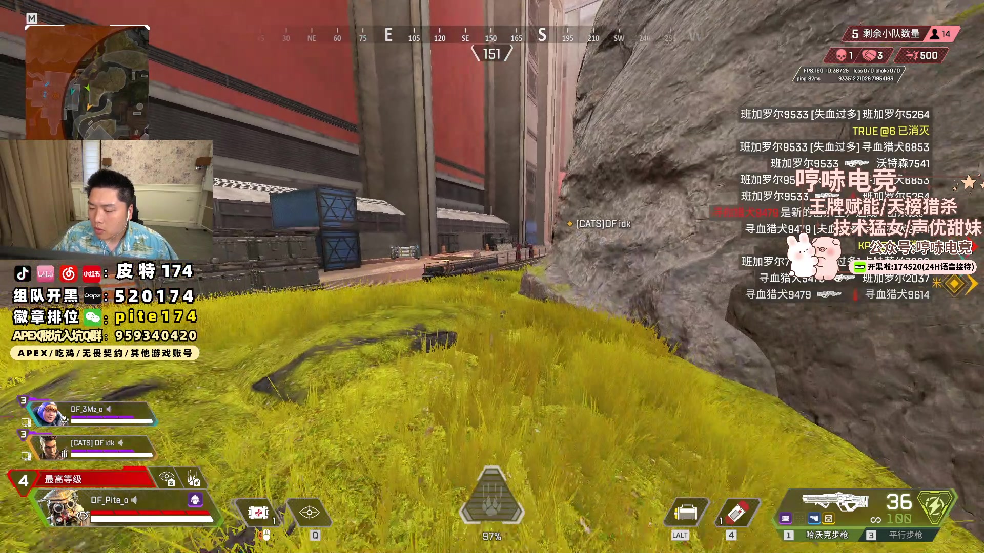 【2024-06-10 17点场】皮特174：酬勤  端午安康