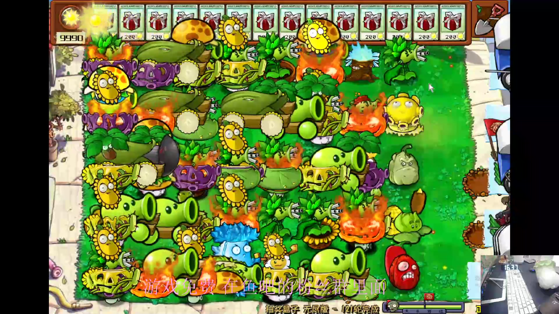 【2024-06-12 16点场】耿枫QUQ：没见过的全新的植物大战僵尸