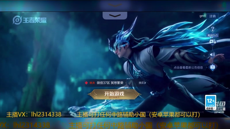 【2024-06-12 19点场】国服老狐狸：国服妲己：双系统可上号