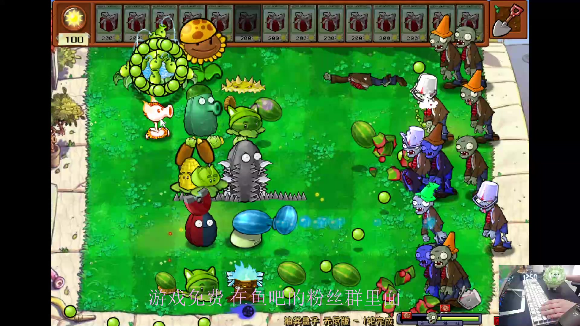 【2024-06-12 12点场】耿枫QUQ：没见过的全新的植物大战僵尸