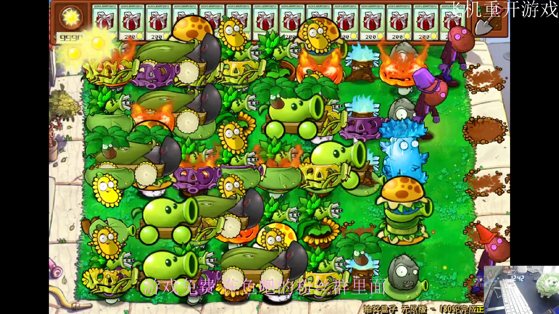 【2024-06-13 12点场】耿枫QUQ：最新版本的植物大战僵尸