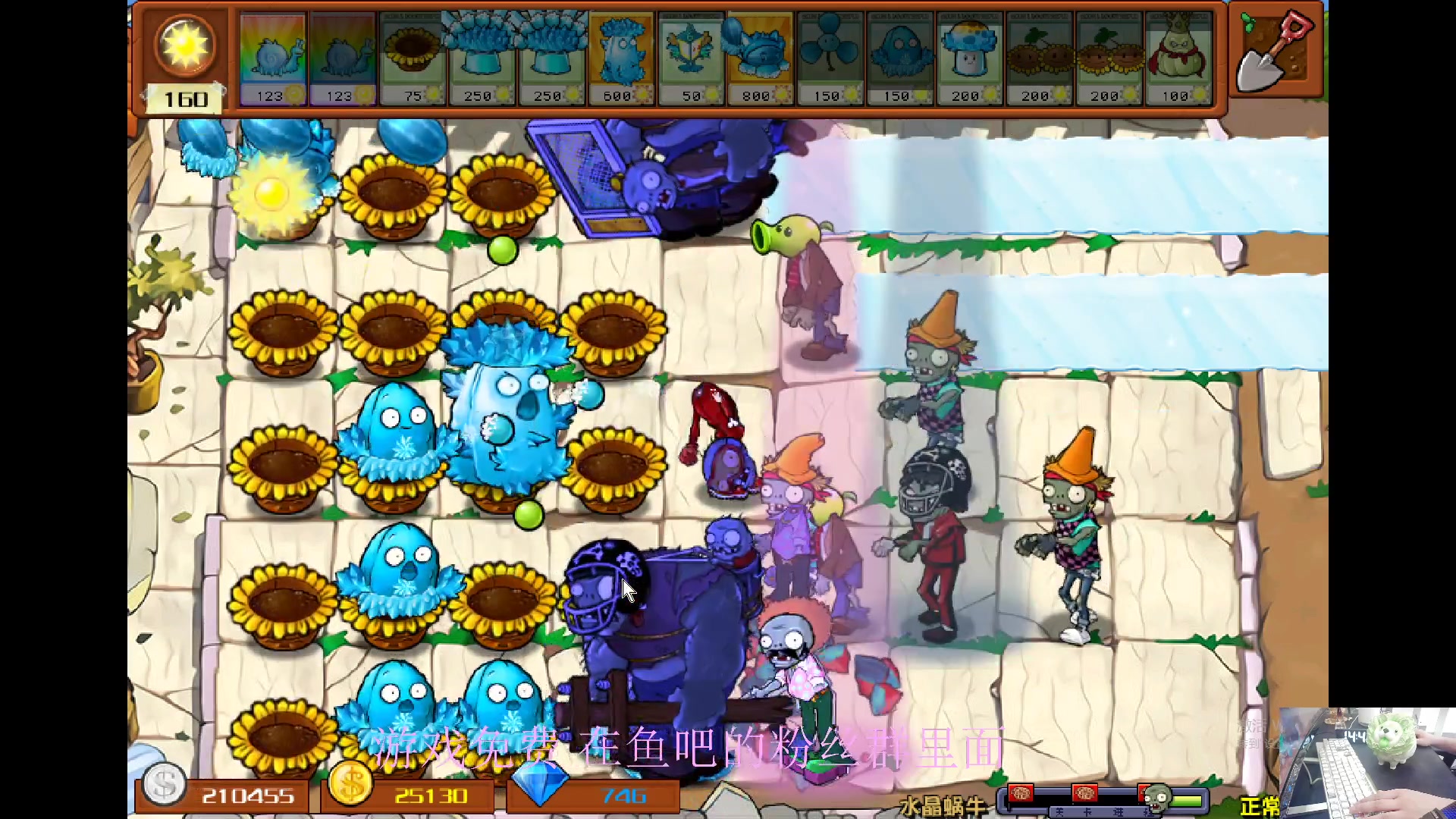 【2024-06-13 14点场】耿枫QUQ：最新版本的植物大战僵尸