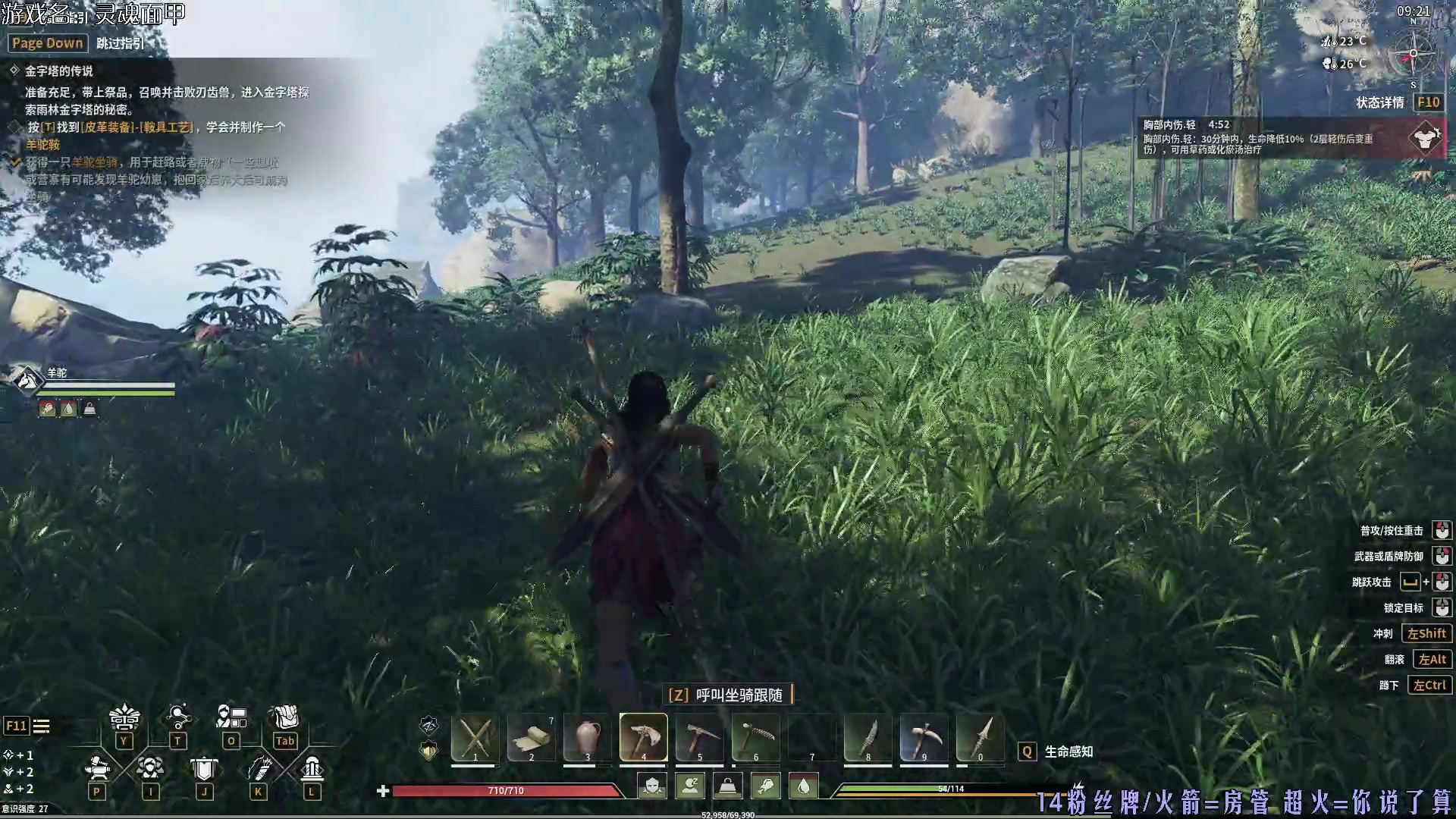 【2024-06-06 00点场】东方不败Athena：东方：灵魂面甲尝鲜