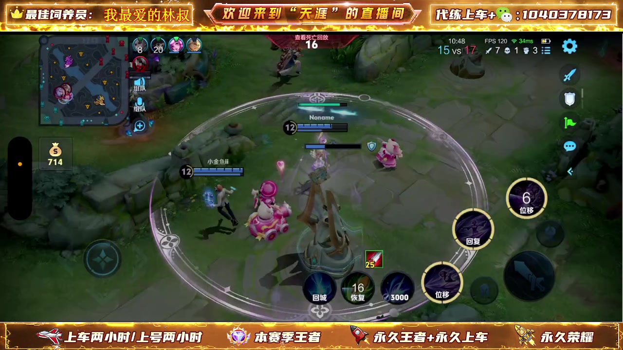 【2024-06-15 21点场】天涯丶全能打野：七年老主播带粉上车有位置 无敌胜率