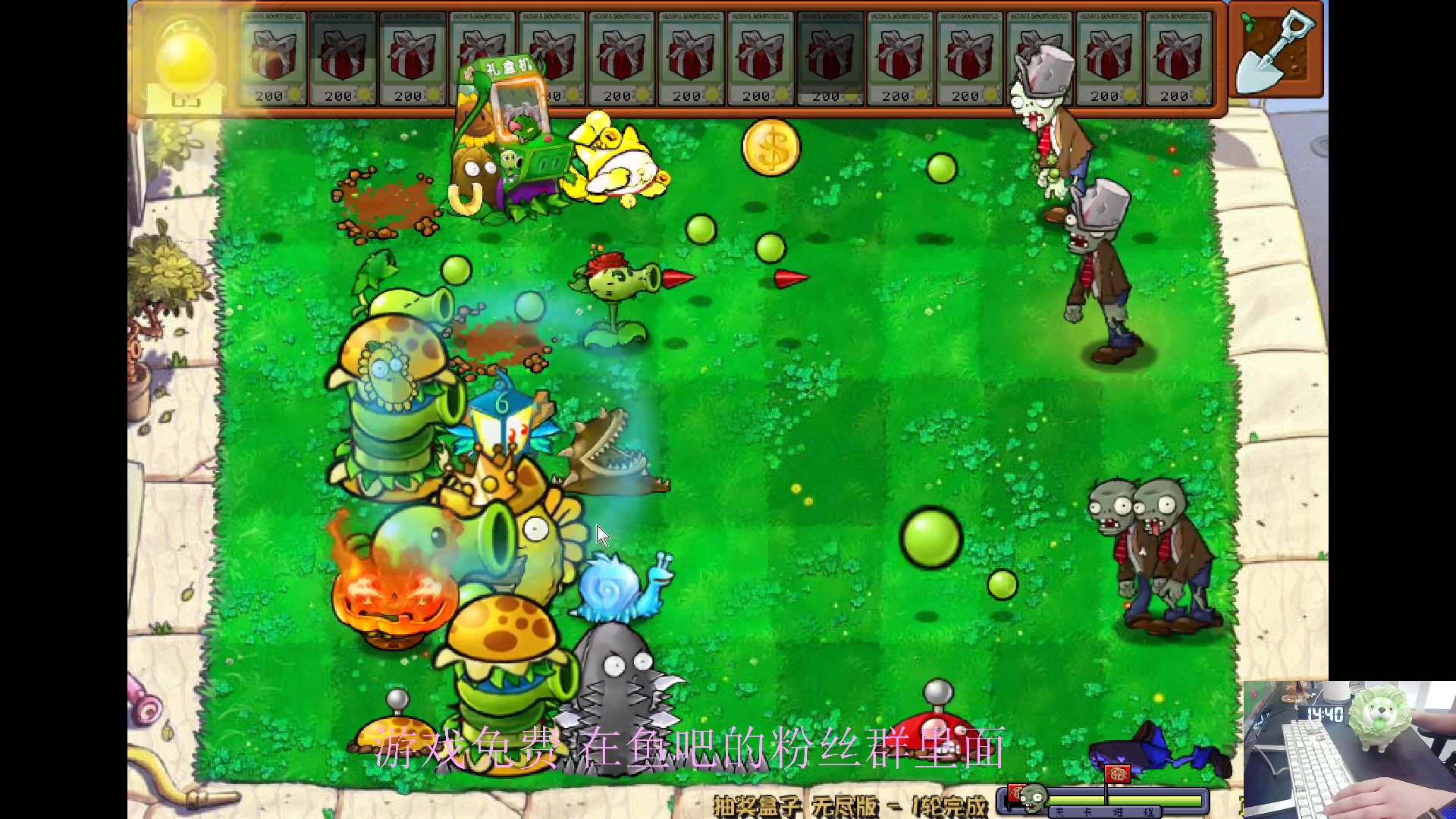 【2024-06-15 14点场】耿枫QUQ：2.1植物大战僵尸滴神