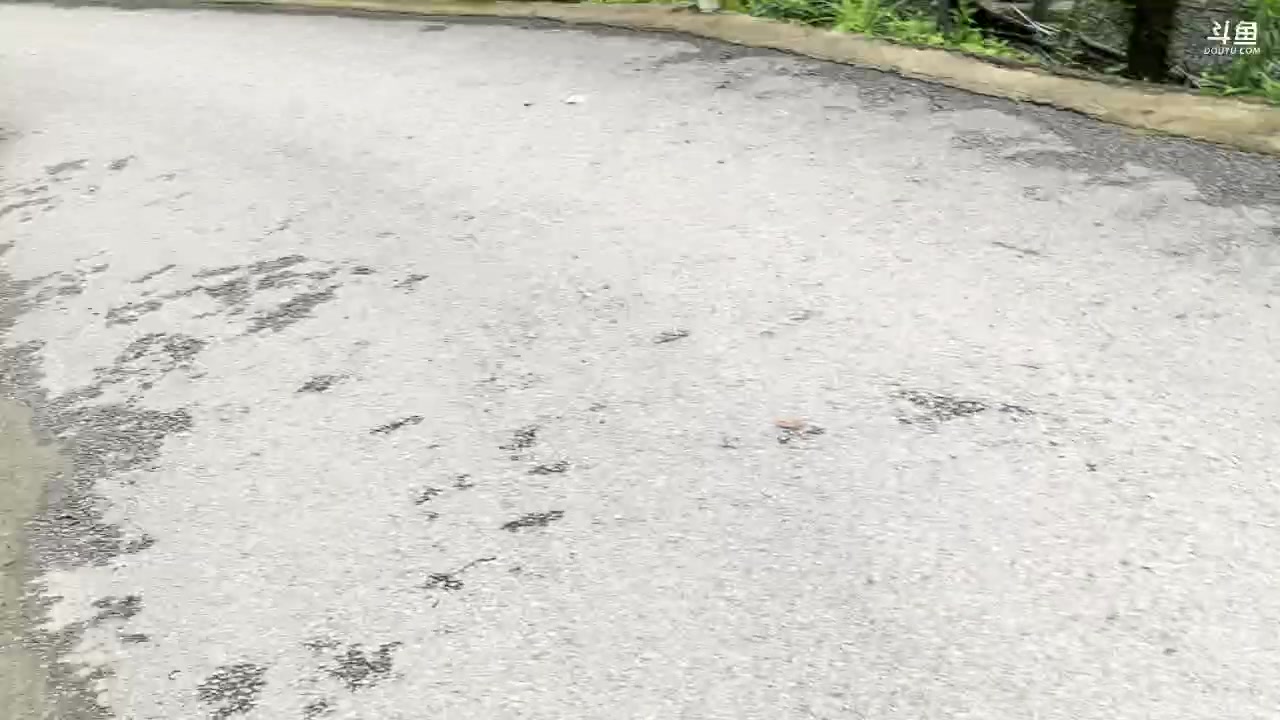 【2024-06-17 16点场】yyfyyf：随便玩玩! 9999