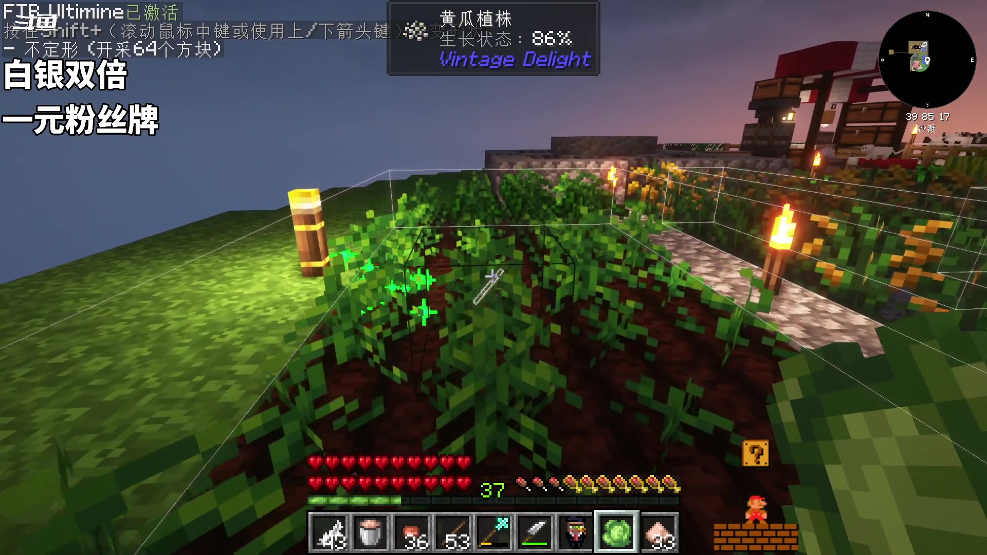 【2024-06-19 19点场】隐者丶丶：【双倍小蜜蜂】粉丝节活动 冲冲冲