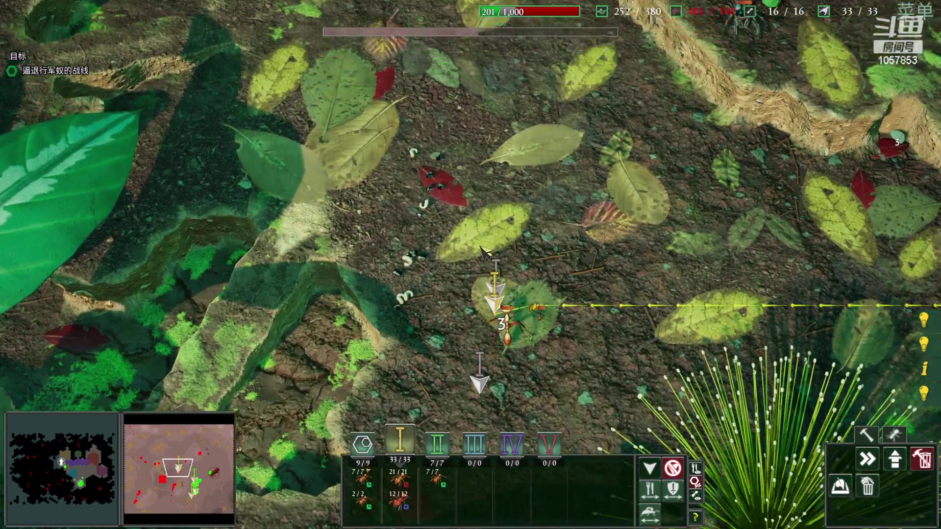 【2024-06-18 18点场】丶子魂魄兮为鬼雄：雄:蚂蚁国国王！