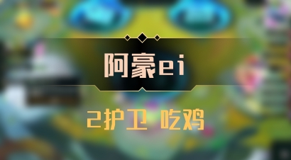 【阿豪ei】2护卫 吃鸡