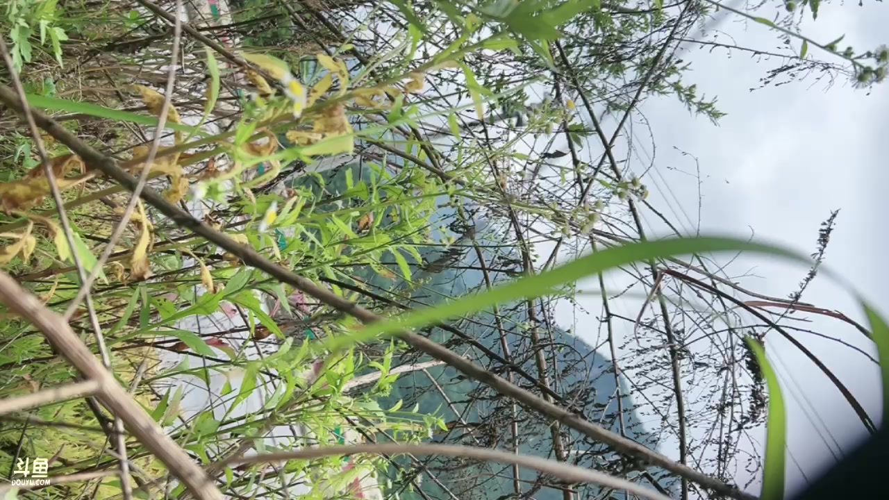 【2024-06-18 12点场】阿福Afuuu：非驰人生，出发！
