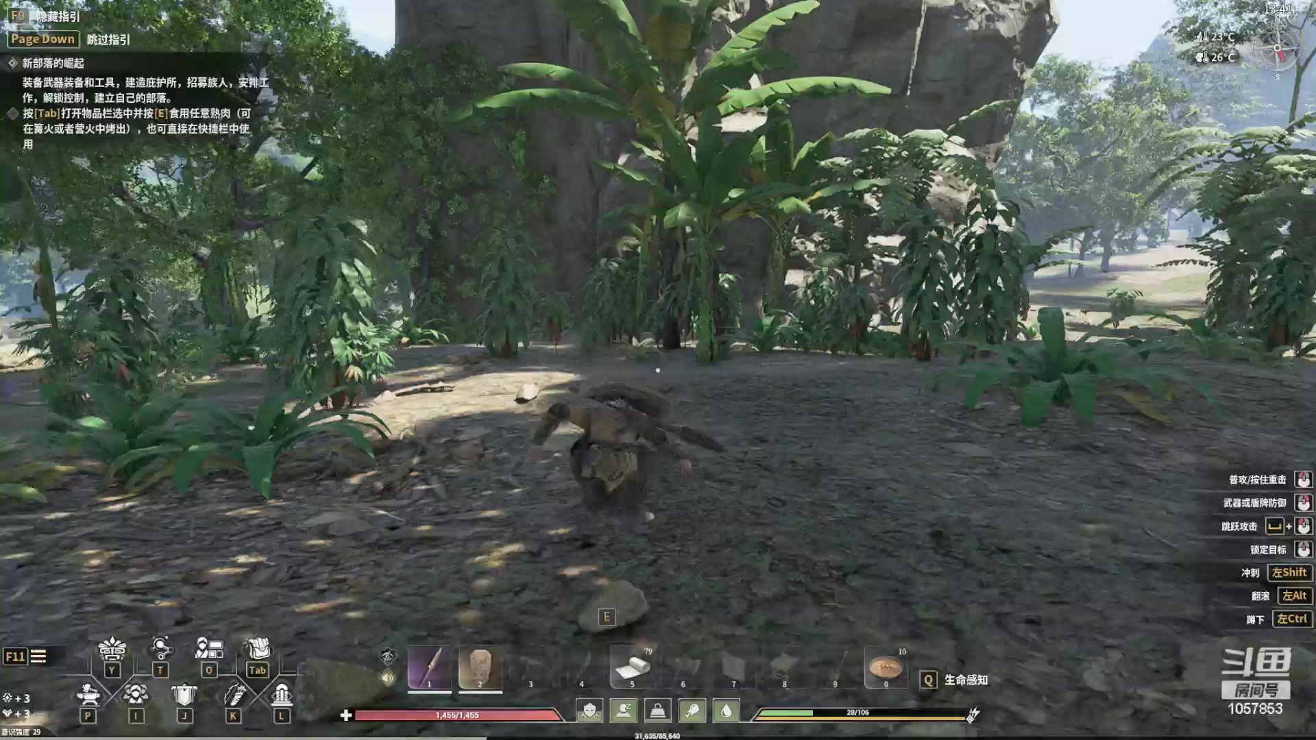 【2024-06-13 18点场】丶子魂魄兮为鬼雄：雄:蚂蚁国国王！