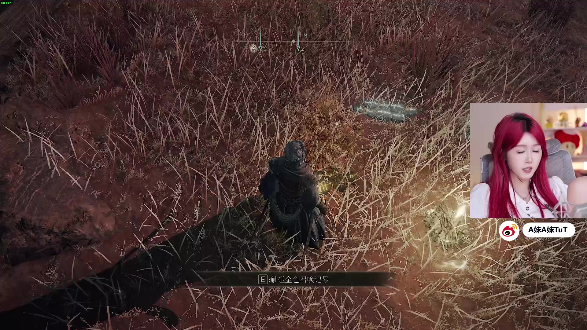 【2024-06-20 01点场】A妹A妹：【呆猪】10011