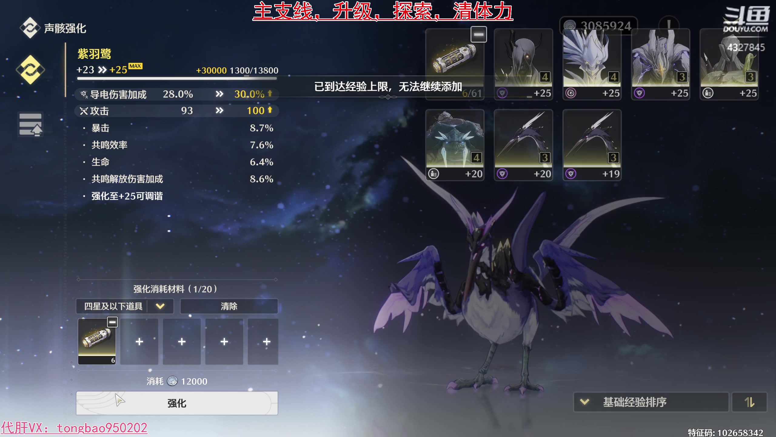 【2024-06-16 20点场】柠萌小瞳宝丶：声骸/探索/主支线/升级