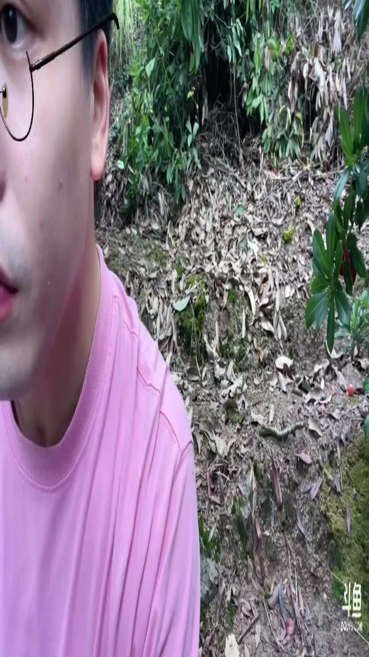 【2024-06-21 12点场】As童话话话：今天带大家去摘杨梅，户外直播来了！！