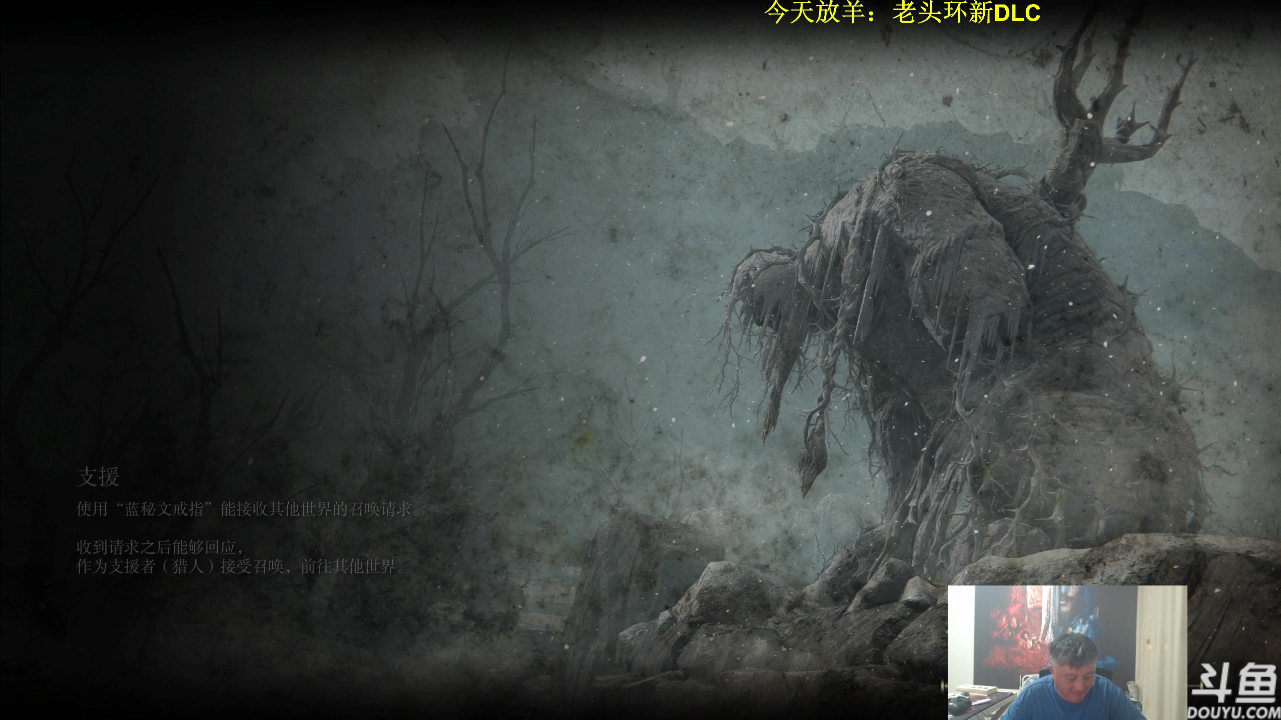 【2024-06-21 21点场】异灵术老师：异灵术：放羊老头环DLC