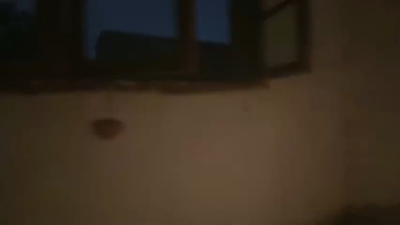 【2024-06-20 22点场】OrangebabyOAO：去勇敢者啦！