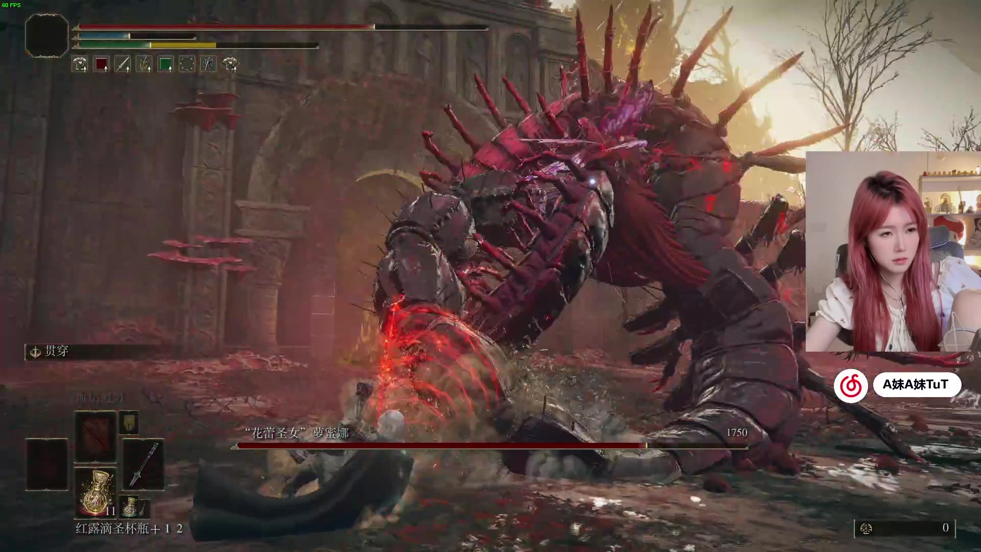 【2024-06-22 22点场】A妹A妹：【呆猪】10011