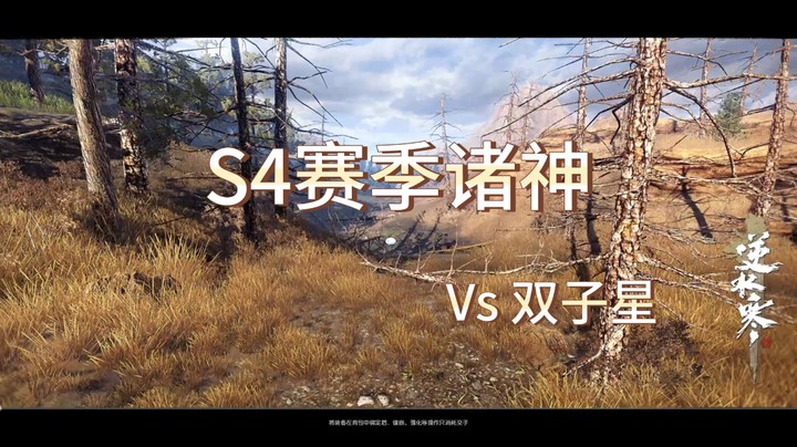 VS双子星