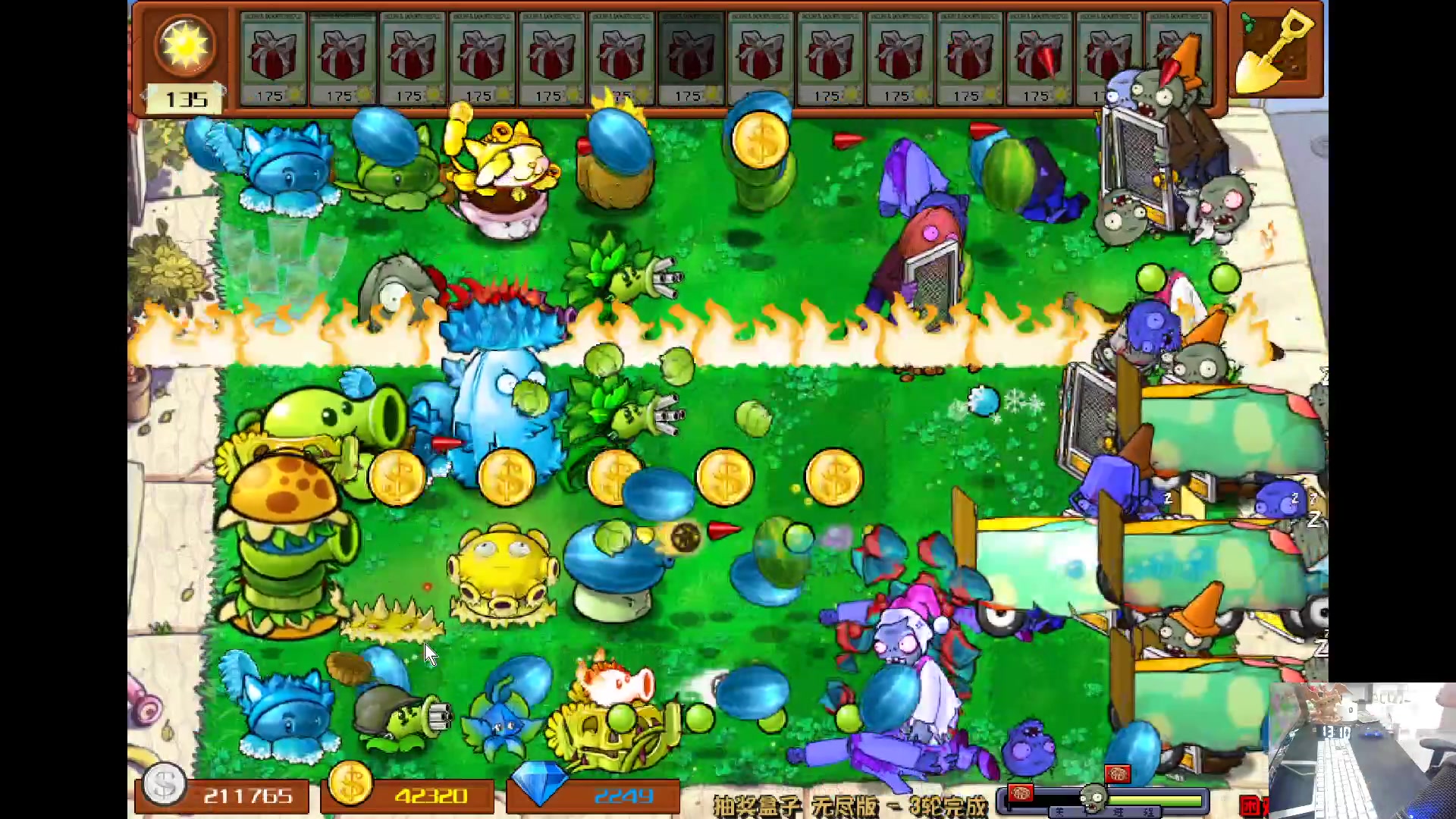 【2024-06-24 12点场】耿枫QUQ：植物大战僵尸启动`