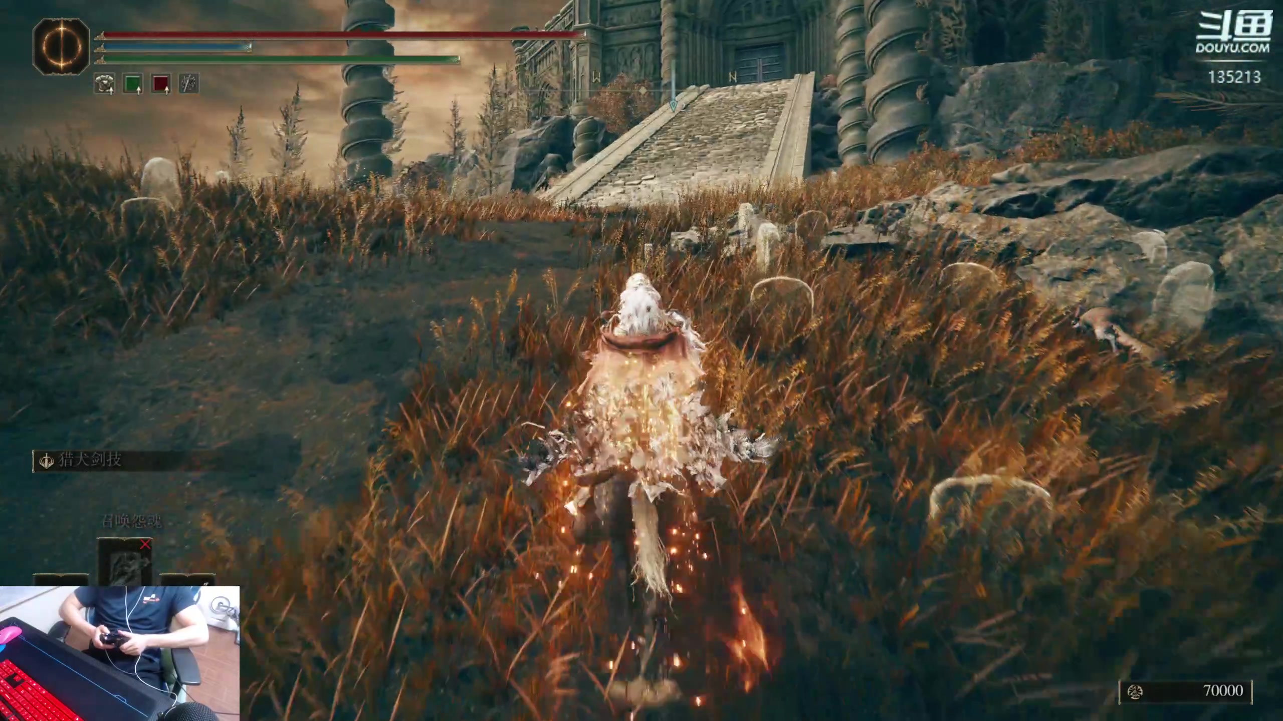 【2024-06-25 01点场】神奇的阿诺：玩会法环，等B测大秘境