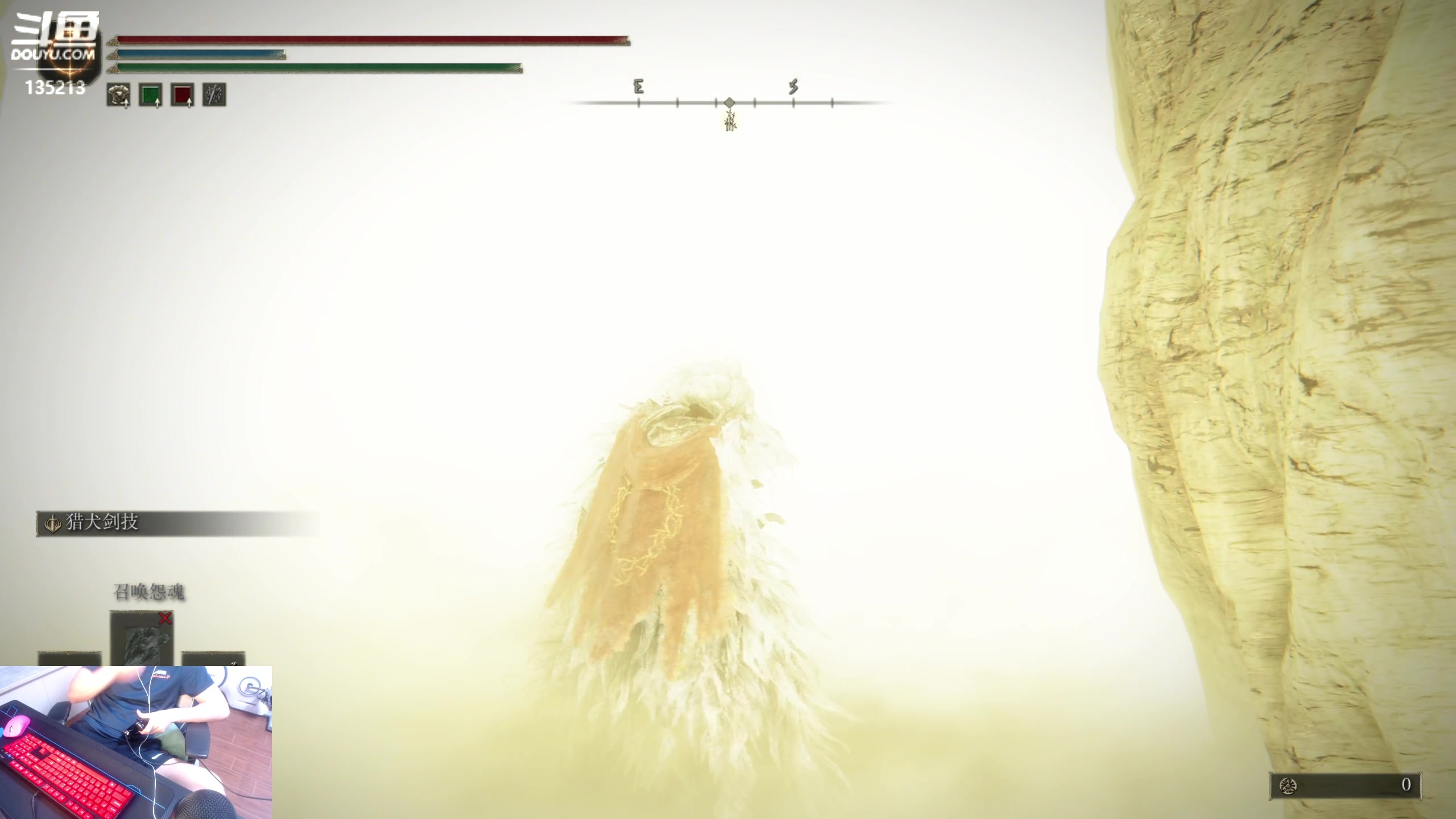 【2024-06-24 22点场】神奇的阿诺：玩会法环，等B测大秘境