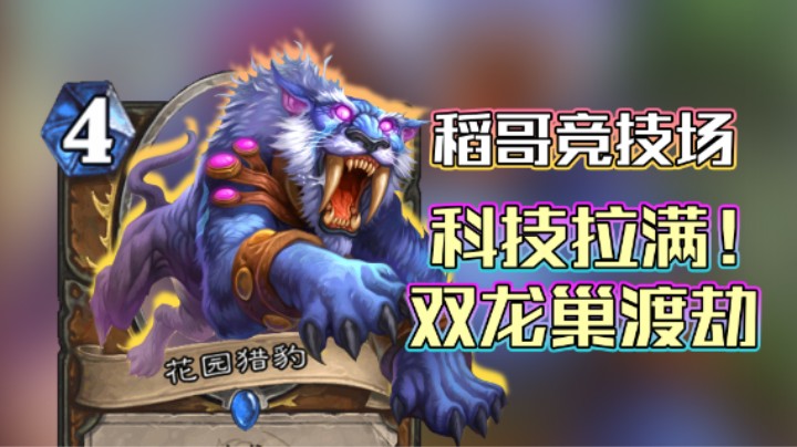 稻哥炉石12胜竞技场（德）：科技拉满！双龙巢渡劫