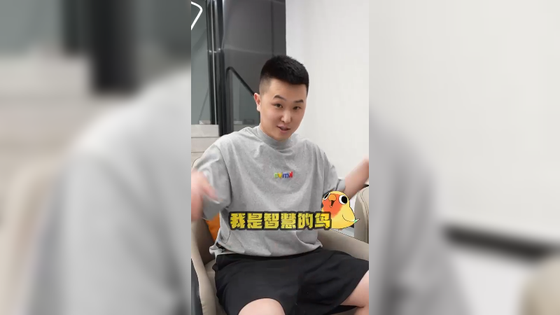 全明星投“HG动物园”