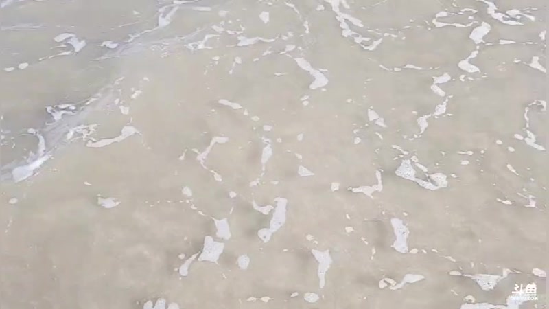 【2024-7-2 16点场】唐6儿:【小奶团】我爱上岛~