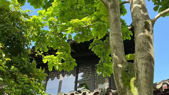 【2024-7-4 21点场】村口全智贤cc:爱好10级虐恋