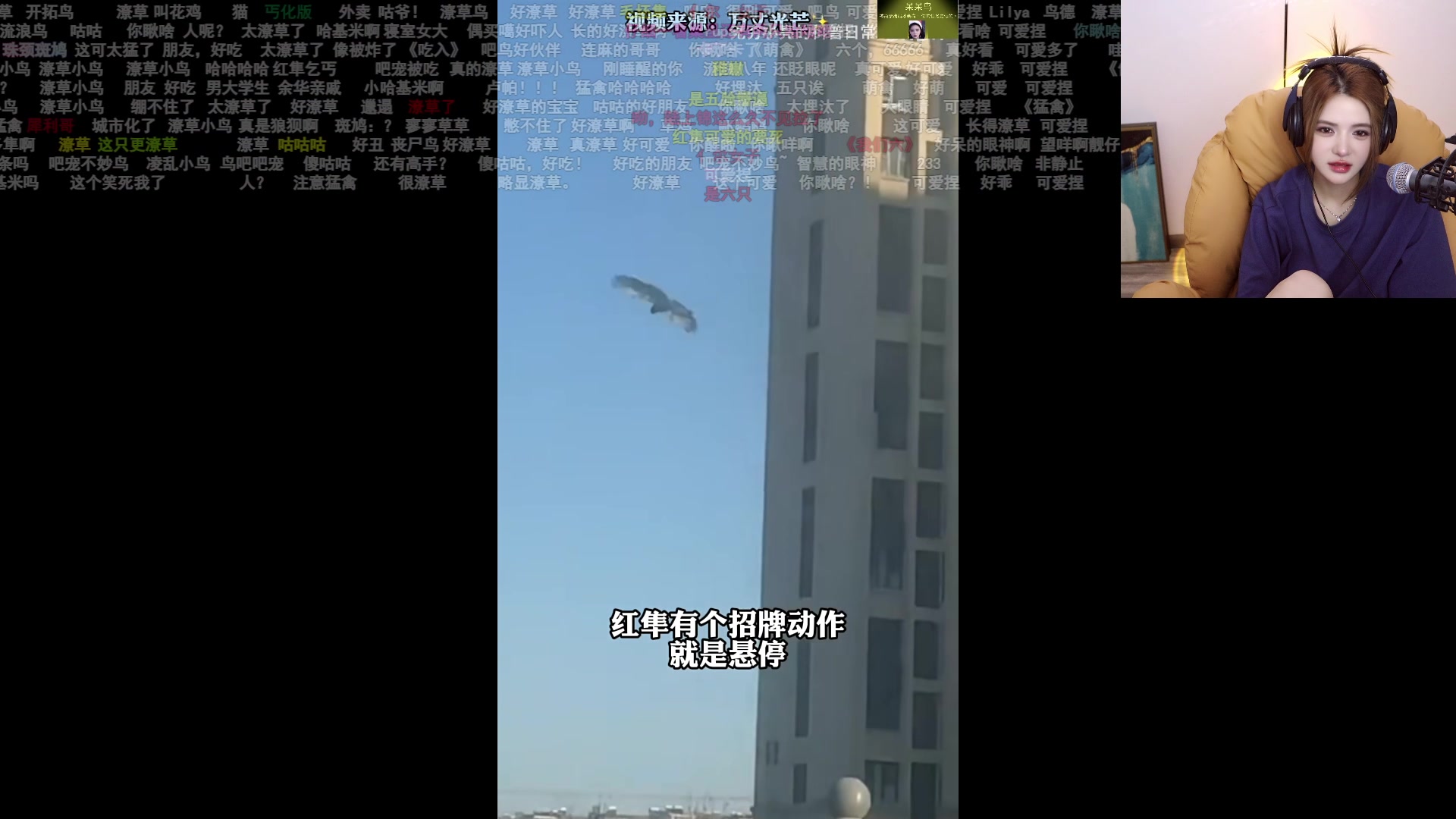 【2024-07-04 22点场】野生小谭：钻粉2.5倍 OB利雅得比赛