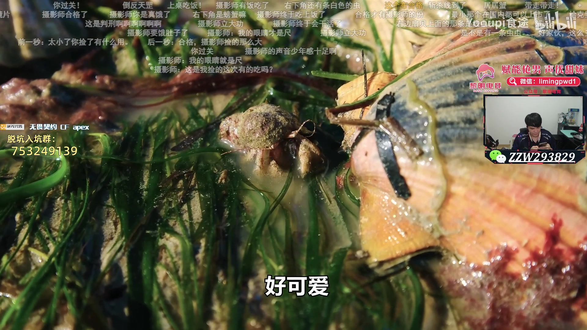 【2024-07-06 04点场】CSGO解说伟伟：BBL VS 小蜜蜂 BO3