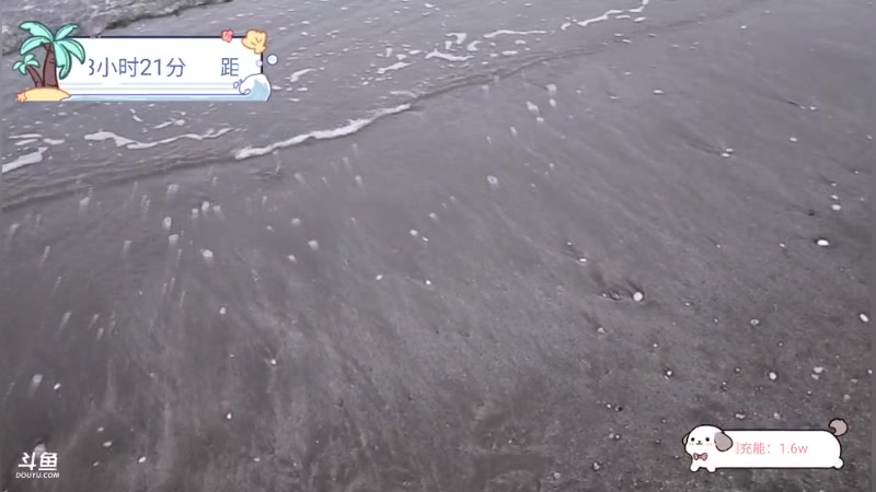 【2024-7-7 19点场】bulaQoQ:【小奶团】岛主的一日生活O,o