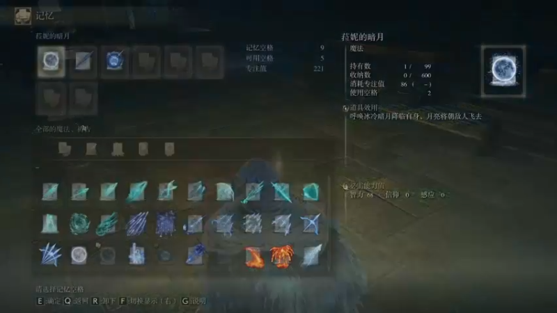 艾尔登法环dlc 无骨灰无buff 双月骑士