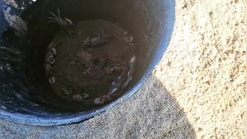 【2024-07-05 07点场】秀才冷男：福州上岛！第三天 日出