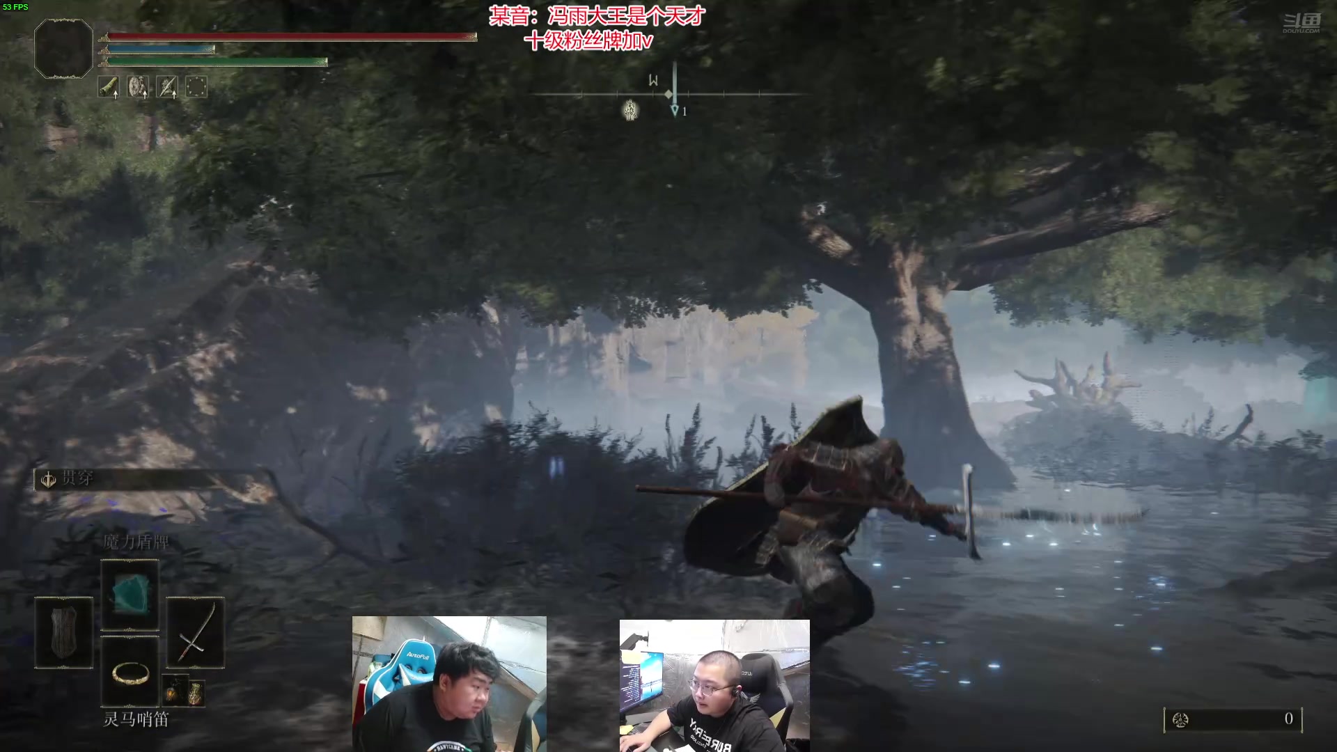 【2024-07-10 17点场】驴酱的冯雨大王：新人主播，第一天直播，求支持。