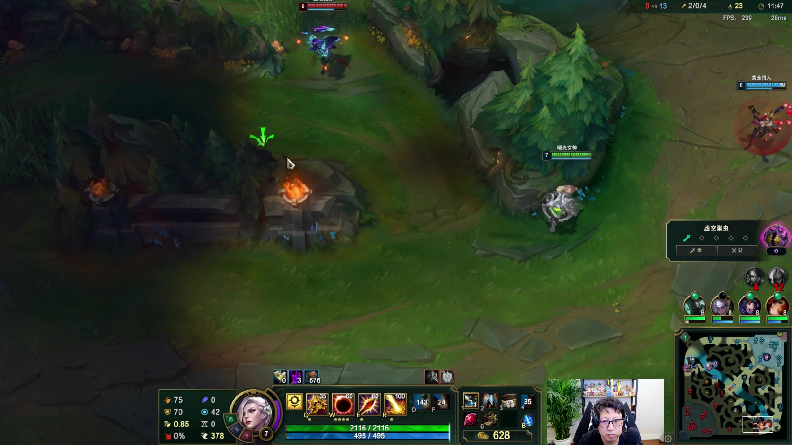 【2024-07-11 00点场】东北大鹌鹑：东北大鹌鹑 休息的还不错