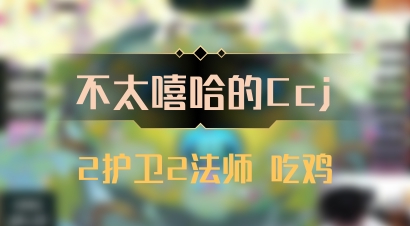 【不太嘻哈的Ccj】2护卫2法师 吃鸡