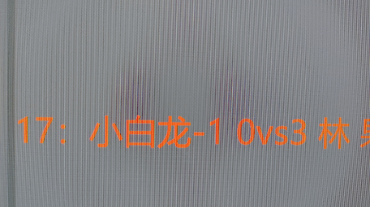 小白龙这个生意没谈好