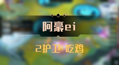 【阿豪ei】2护卫 吃鸡