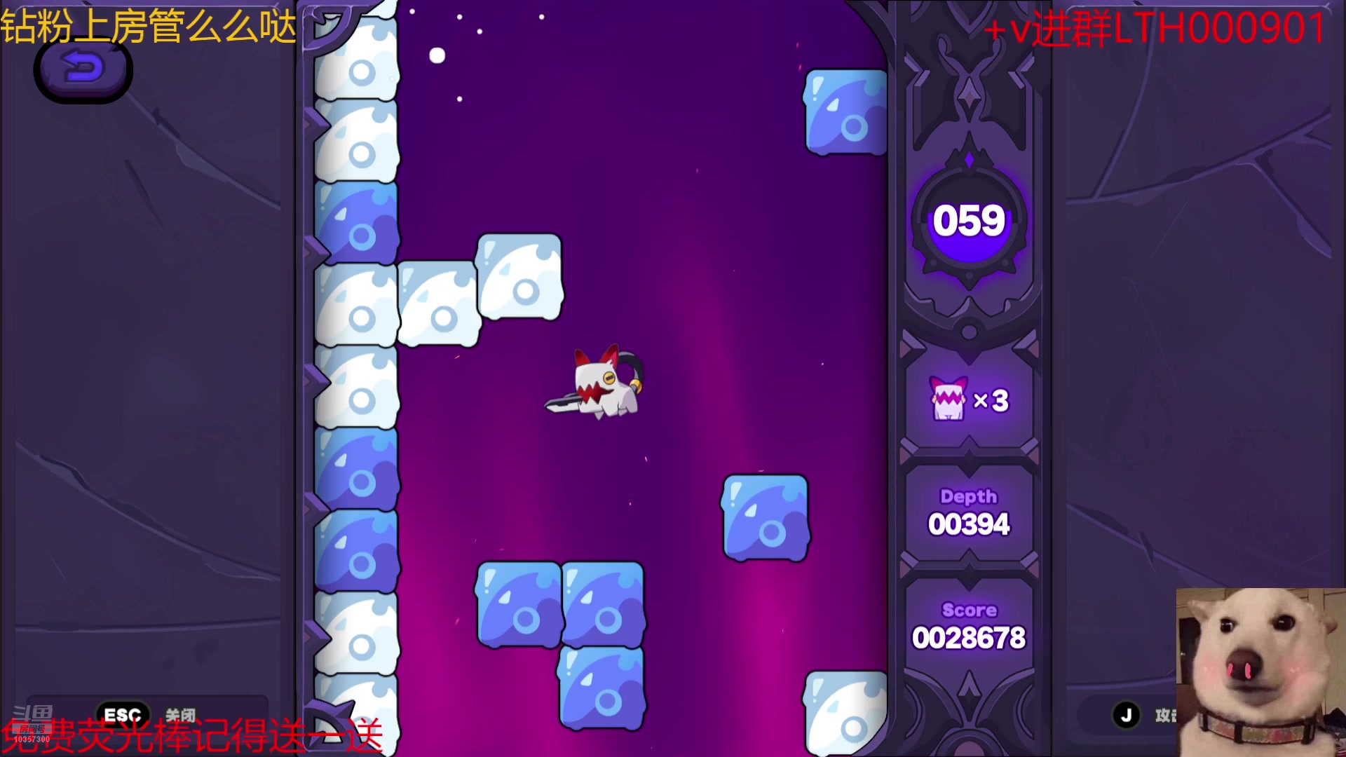 【2024-07-19 17点场】是猫咪吖丶：启元来咯  么么哒