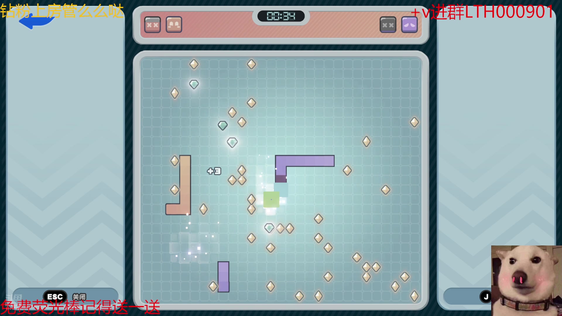 【2024-07-20 13点场】是猫咪吖丶：绝区零来咯  么么哒